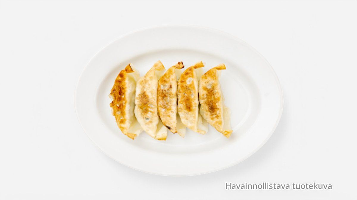 20. Paistettu kana- ja kasvisdumpling