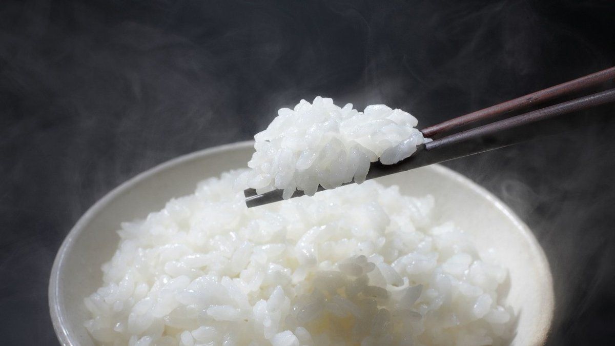Rice