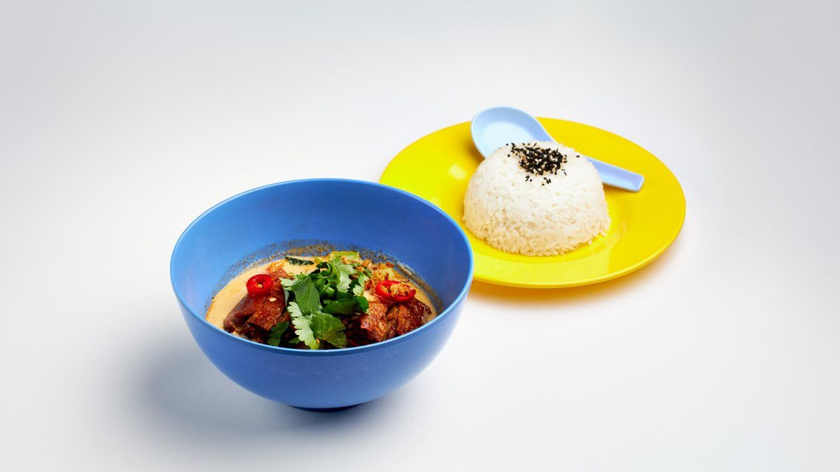 Curry duck with rice