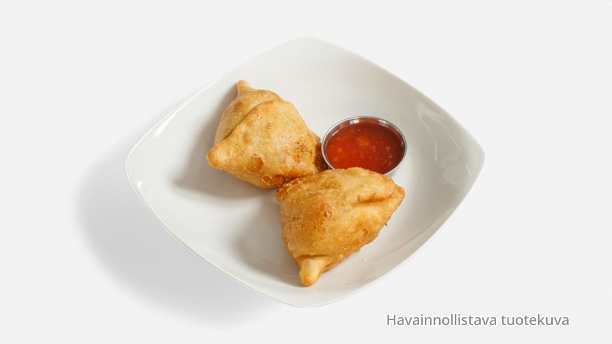 Vegetable Samosa