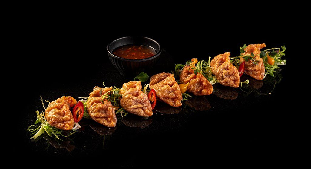 Gyoza chicken-kananyytit