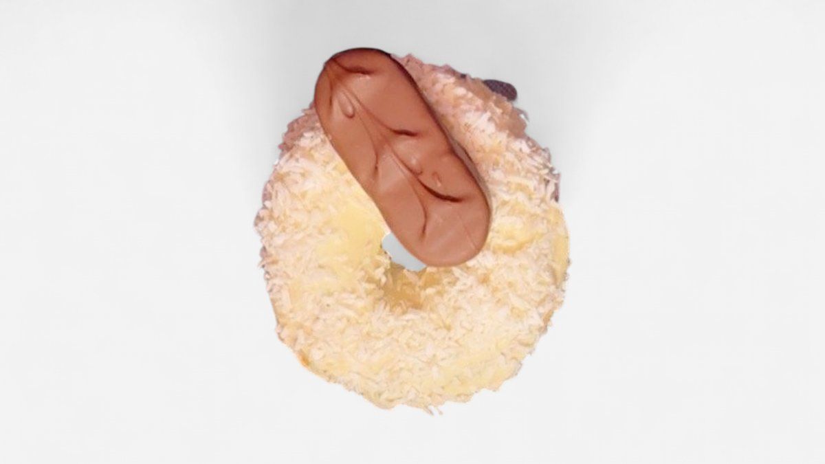 Coconut Donut