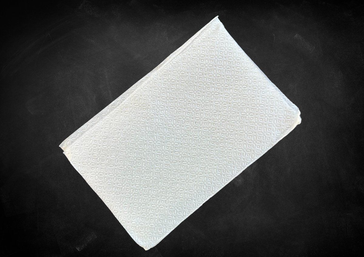Napkin / Lautasliina
