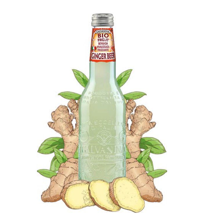 Galvanina Ginger beer 0.355l