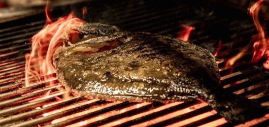 Brasa