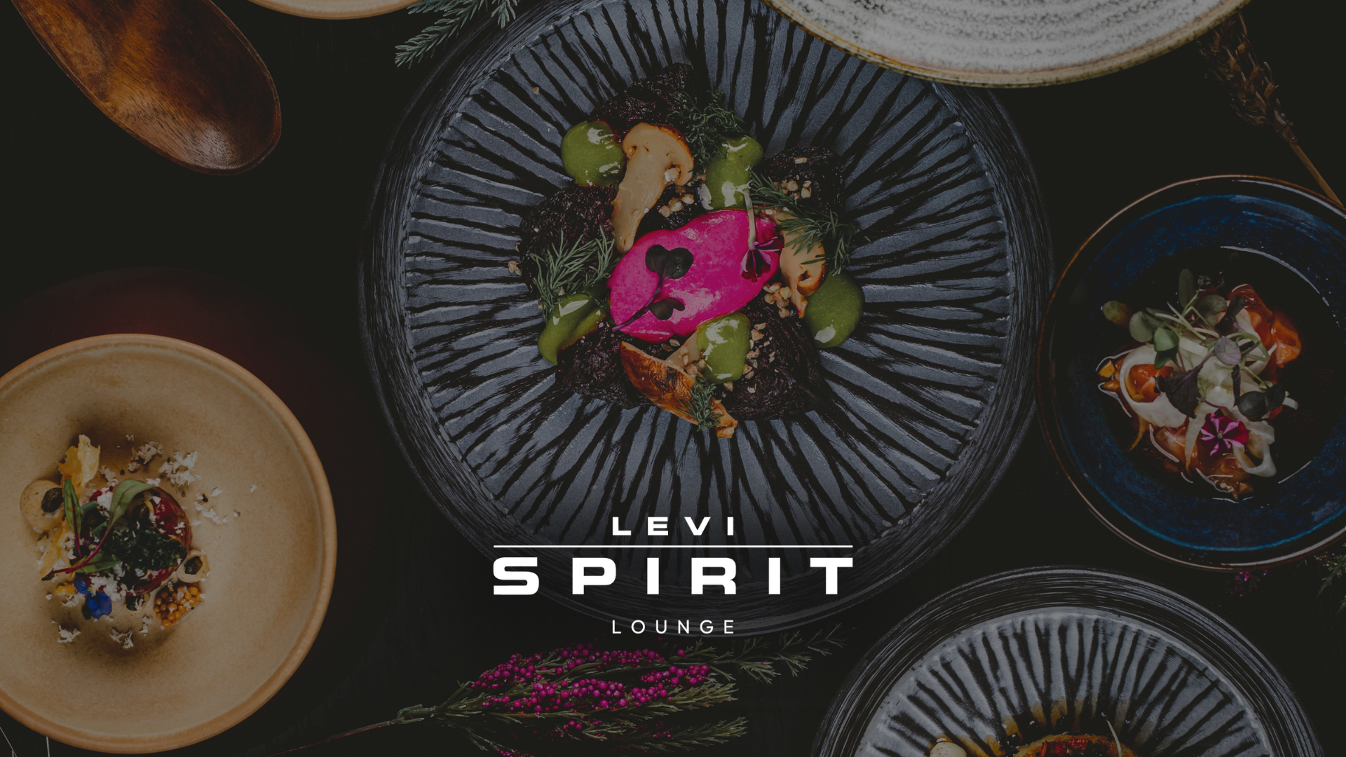 Levi Spirit