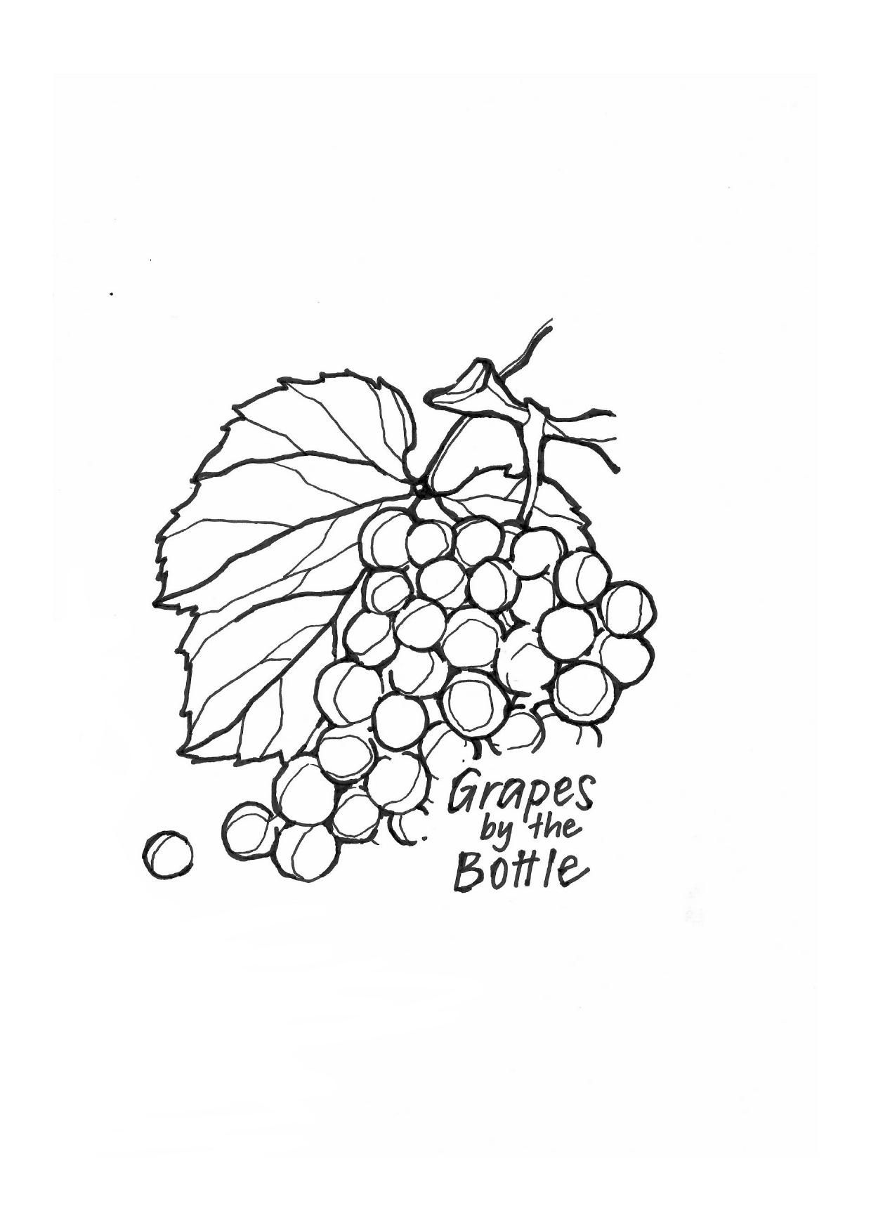 Grape Wine Bar & Tasting Room